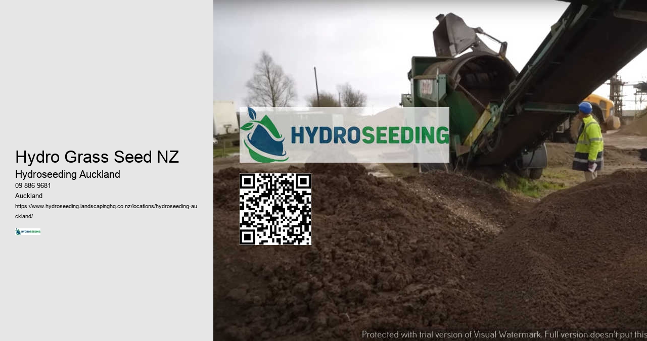 Grass Seed Installation Auckland