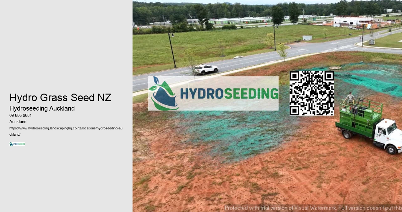 Hydro Grass Seed NZ