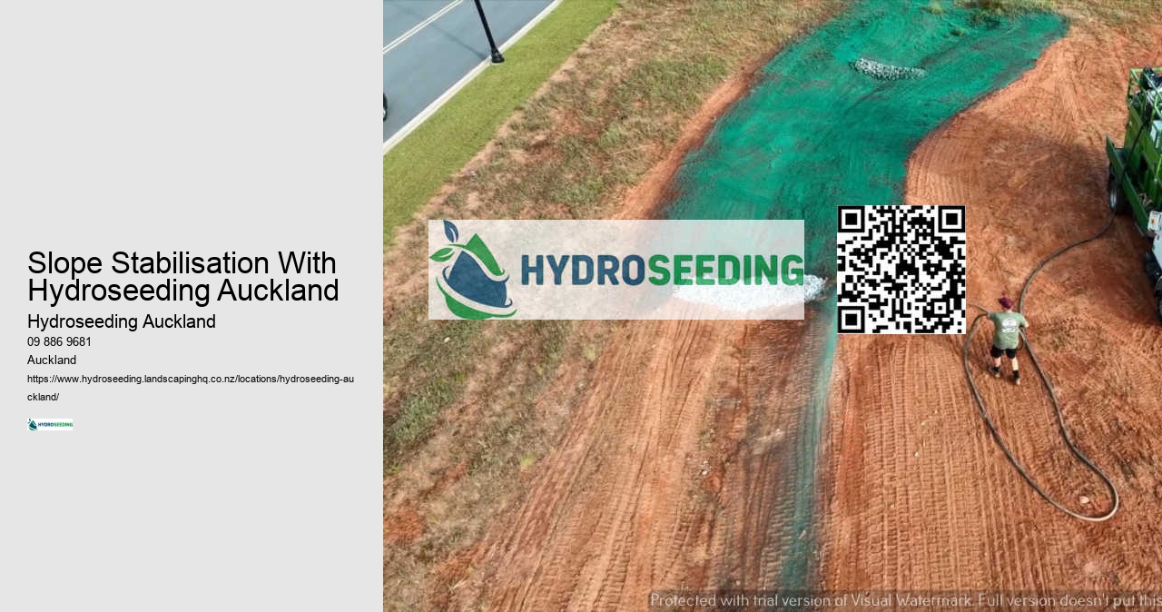 Slope Stabilisation With Hydroseeding Auckland