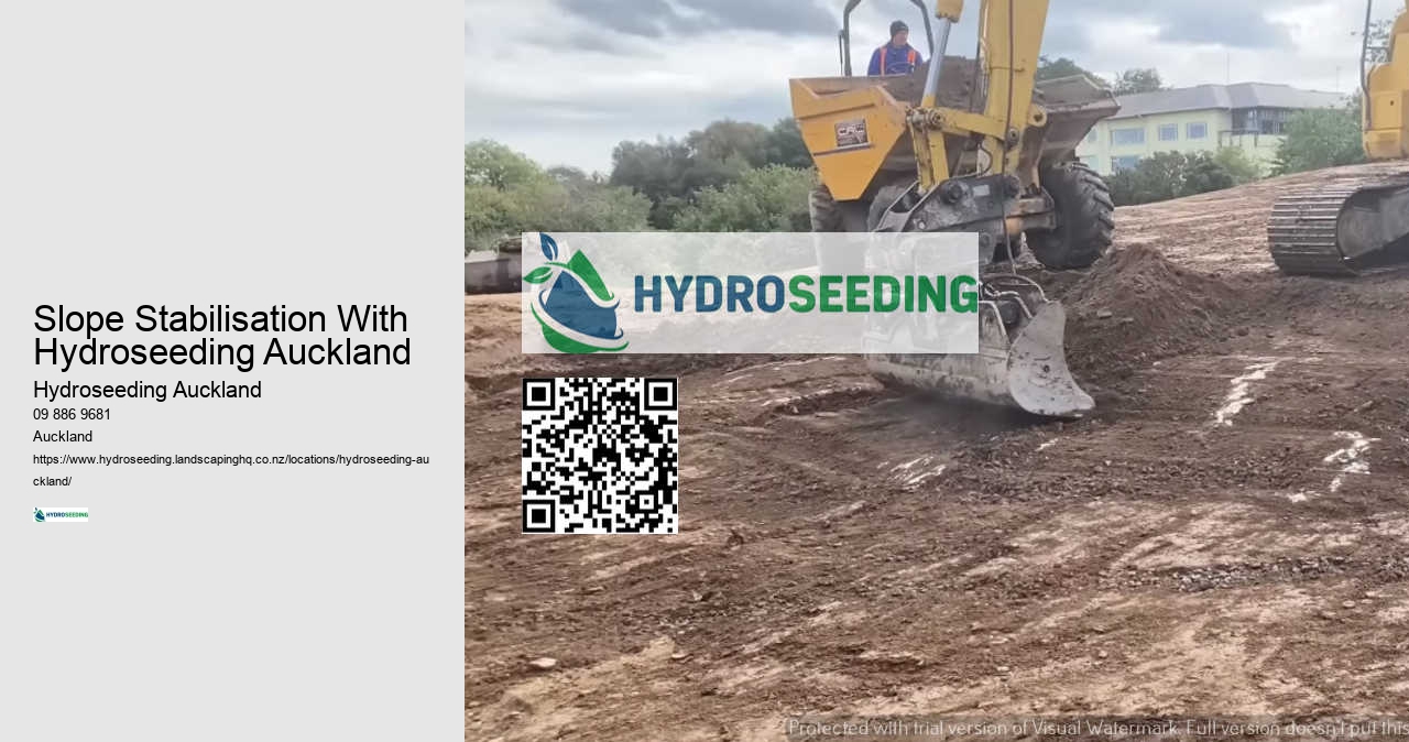 Spray On Grass Seed NZ